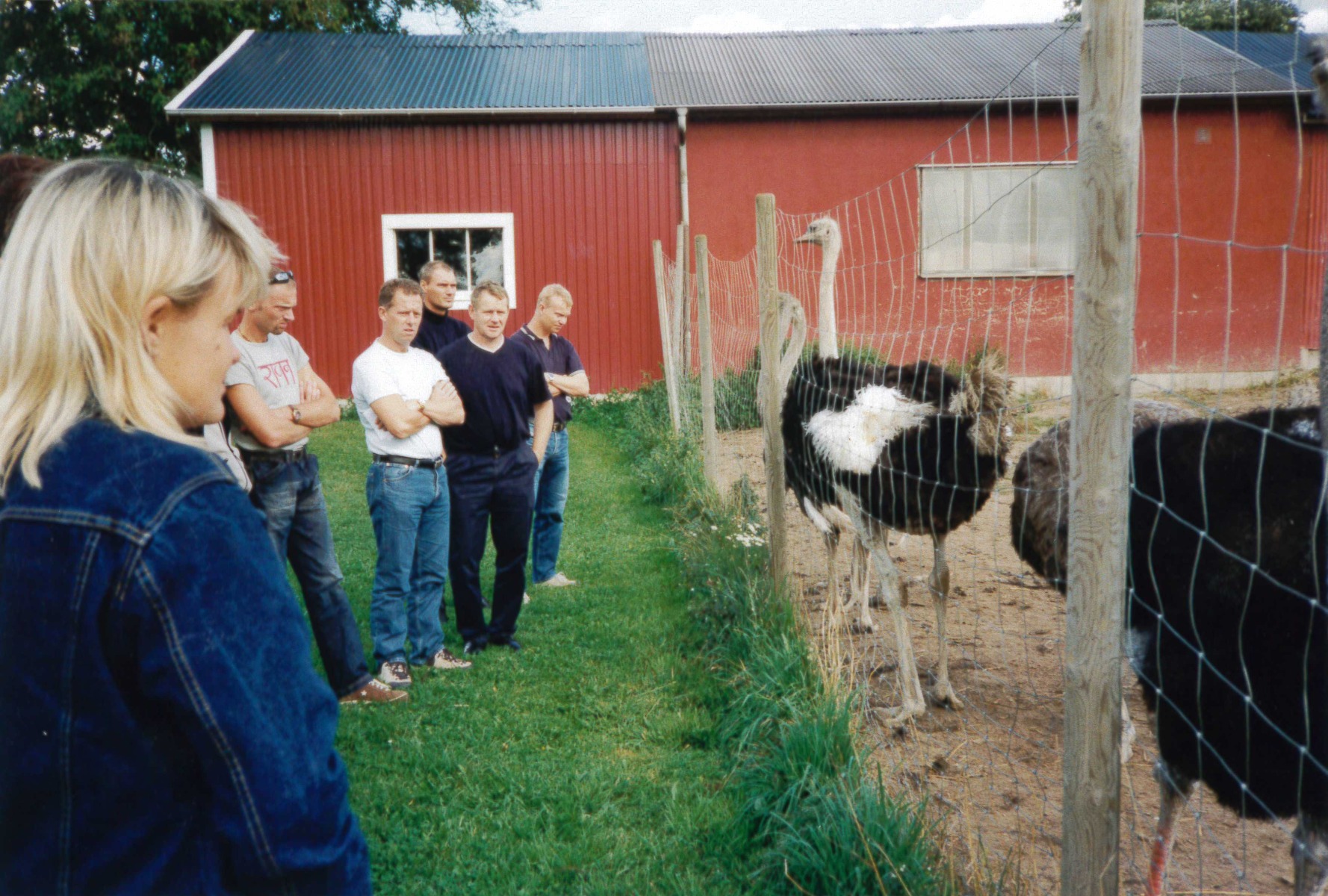 Besök på strutsfarm i Lundsbrunn 2001